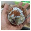 Kigauru Rough Natural White Magnesite Quartz Stone Crystal Ball, 50–80 mm, 1 pc (Size: 50–60 mm) view 2