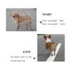 Samnuerly Adjustable Dog Wheelchair for Rear Legs, Rehabilitation, Multiple Sizes view 3