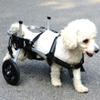 Samnuerly Dog Wheelchair, Veterinarian-Approved, Rear-Leg Support view 3