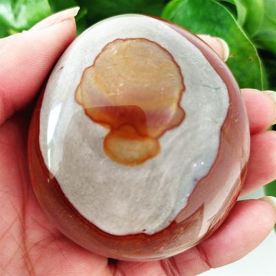 Kigauru Rough Natural Crystal Stone Marine Palm Healing Crystals Decorative Collection (Color: AAA187, 184 g)