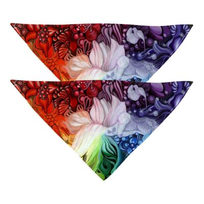 Dog Bandanas, 2-Pack, Fairy Rainbow Design, Chiffon Triangle Bibs