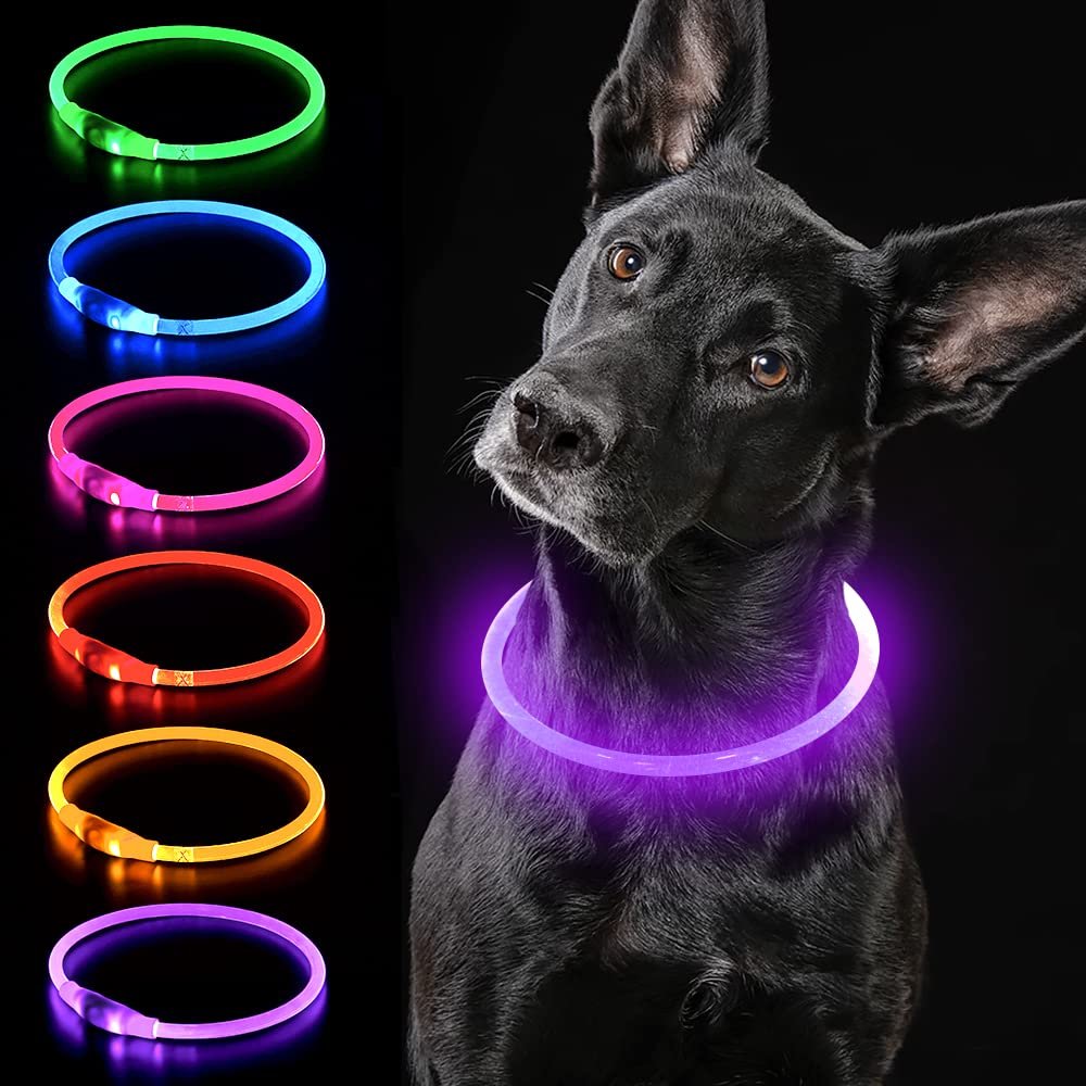 iTayga LED Dog Collar, USB Rechargeable & Waterproof