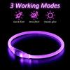 iTayga LED Dog Collar, USB Rechargeable & Waterproof view 2