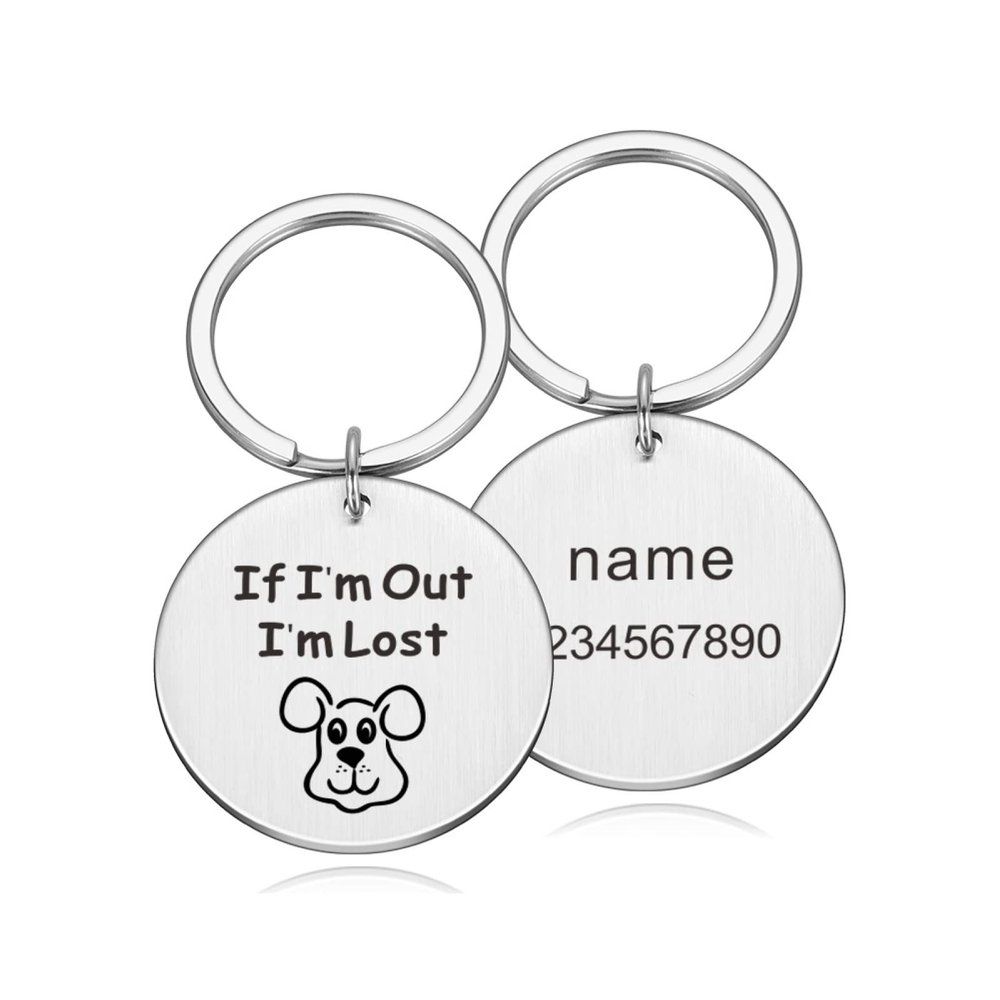 Personalized Round Stainless Steel Pet ID Tag for Dogs and Cats, Silver, 20 x 20 mm