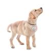 Personalized Round Stainless Steel Pet ID Tag for Dogs and Cats, Silver, 20 x 20 mm view 4