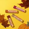 Burt's Bees Gift Set | Lip Balm Set with Beeswax and Vitamin E | 100% Natural Origin | Chai Tea, Pumpkin Spice, Vanilla Maple, Pomegranate | 4 x 4.25 g view 3