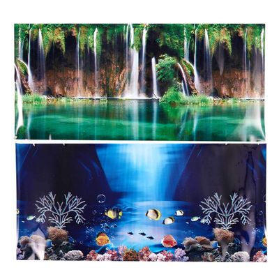 Baalaa Aquarium Background, Seascape