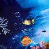 Baalaa Aquarium Background, Seascape view 4