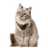 Dog Bandanas, 2-Pack, Red Panda Design, Chiffon Triangle Bibs view 2