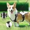 Naanle Cartoon Tulip Flower Dog Harness with Leash, No-Pull, Soft Padded Reflective Mesh Vest view 2