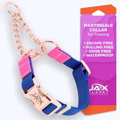 JAX PLANET Jelly Martingale Collar for Dogs