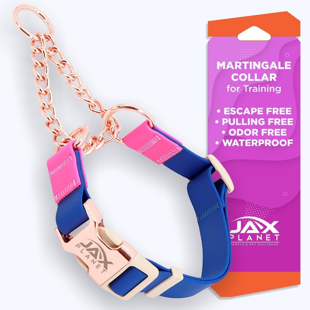 JAX PLANET Jelly Martingale Collar for Dogs