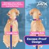 JAX PLANET Jelly Martingale Collar for Dogs view 4