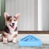 Slow Feeder for Dogs | Small Wide Anti-Slip Bowl view 3