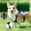 Naanle Mandala Flower No-Pull Dog Harness with Leash view 2