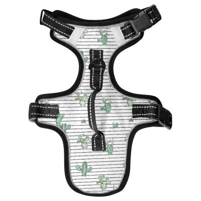 Naanle Striped Cactus No-Pull Dog Harness with Leash, Reflective Mesh Vest