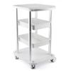 KUYT Mobile Cart, Silver Beauty Salon Cart with Braked Wheel, Hairdresser Tool Rolling Trolley, Storage Trolley view 1