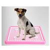 YANYUESHOP Indoor Dog Toilet with PP Tray and Training Mat view 4