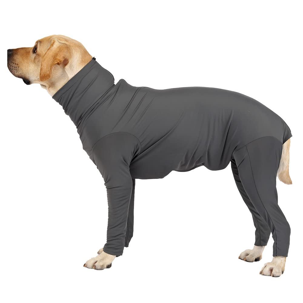 BT Bear Dog Recovery Suit, Postoperative Clothing for Abdominal Wounds or Skin Conditions, E-Collar Alternative, XXL Gray
