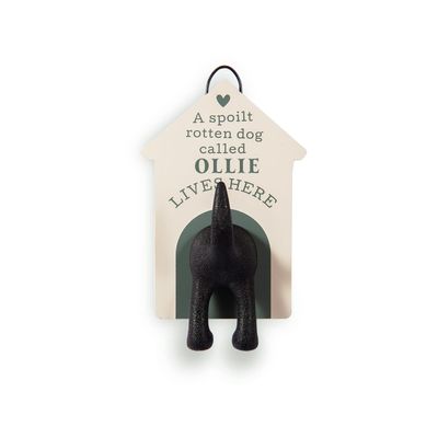 Personalized Dog Leash Hook (Ollie)