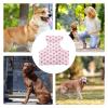 Cooling Dog Vest view 3