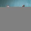 Cat Muzzle - Breathable Mouth Cover for Cats view 3