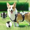 Naanle Palm Leaf Zebra No-Pull Dog Harness with Leash Clips view 2