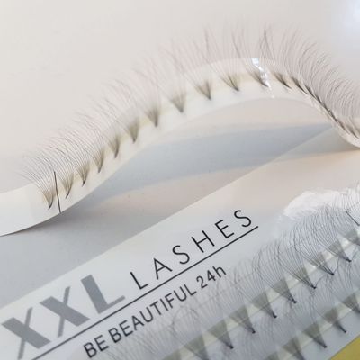 10D Premade Lash Fans, 60 Volume Extensions, 8 mm, D-Curl, 0.05 mm
