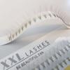 10D Premade Eyelash Fans, 60 Volume Lash Extensions, 9 mm C-Curl, 0.05 mm view 1