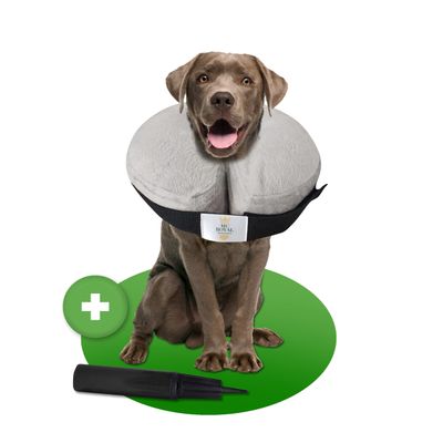 NEW: MC-RoyalPremium Inflatable Recovery Collar for Dogs and Cats