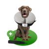 NEW: MC-RoyalPremium Inflatable Recovery Collar for Dogs and Cats view 1