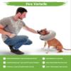 NEW: MC-RoyalPremium Inflatable Recovery Collar for Dogs and Cats view 3