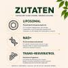 Liposomal NAD+ Trans-Resveratrol 800 mg Softgels, Superior Alternative, More Efficient Than NR, High Absorption, 60 Softgels view 2