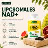 Liposomal NAD+ Trans-Resveratrol 800 mg Softgels, Superior Alternative, More Efficient Than NR, High Absorption, 60 Softgels view 3