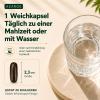 Liposomal NAD+ Trans-Resveratrol 800 mg Softgels, Superior Alternative, More Efficient Than NR, High Absorption, 60 Softgels view 4