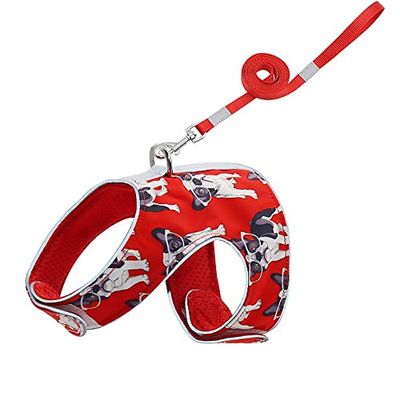 Soft Mesh Cat Vest Harness and Leash