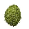 Yin Xiang Green Tea Matcha from China, Matcha Flavor, Fruity, Mild, Grassy/Nori, Freshly Packaged view 1