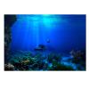 3D Effect Aquarium Poster view 1