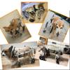 KROITY Adjustable 4-Wheel Dog Wheelchair, Full Support, XXS–XXL view 3