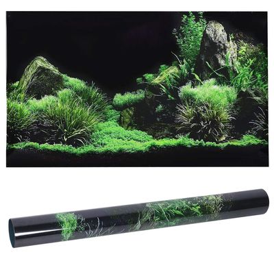 Aquarium Sticker, 61 x 30cm / 24 x 11.8in PVC Underwater Background Self-Adhesive Poster Wallpaper