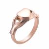 BIAIHQIE Custom Cremation Ash Urn Heart-Shaped Pet Memorial Ring for Women, 2.8 view 1