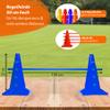 SPORTIKEL24 50 cm Cone Hurdles with 100 cm Poles, 4-Piece Set, Blue view 2