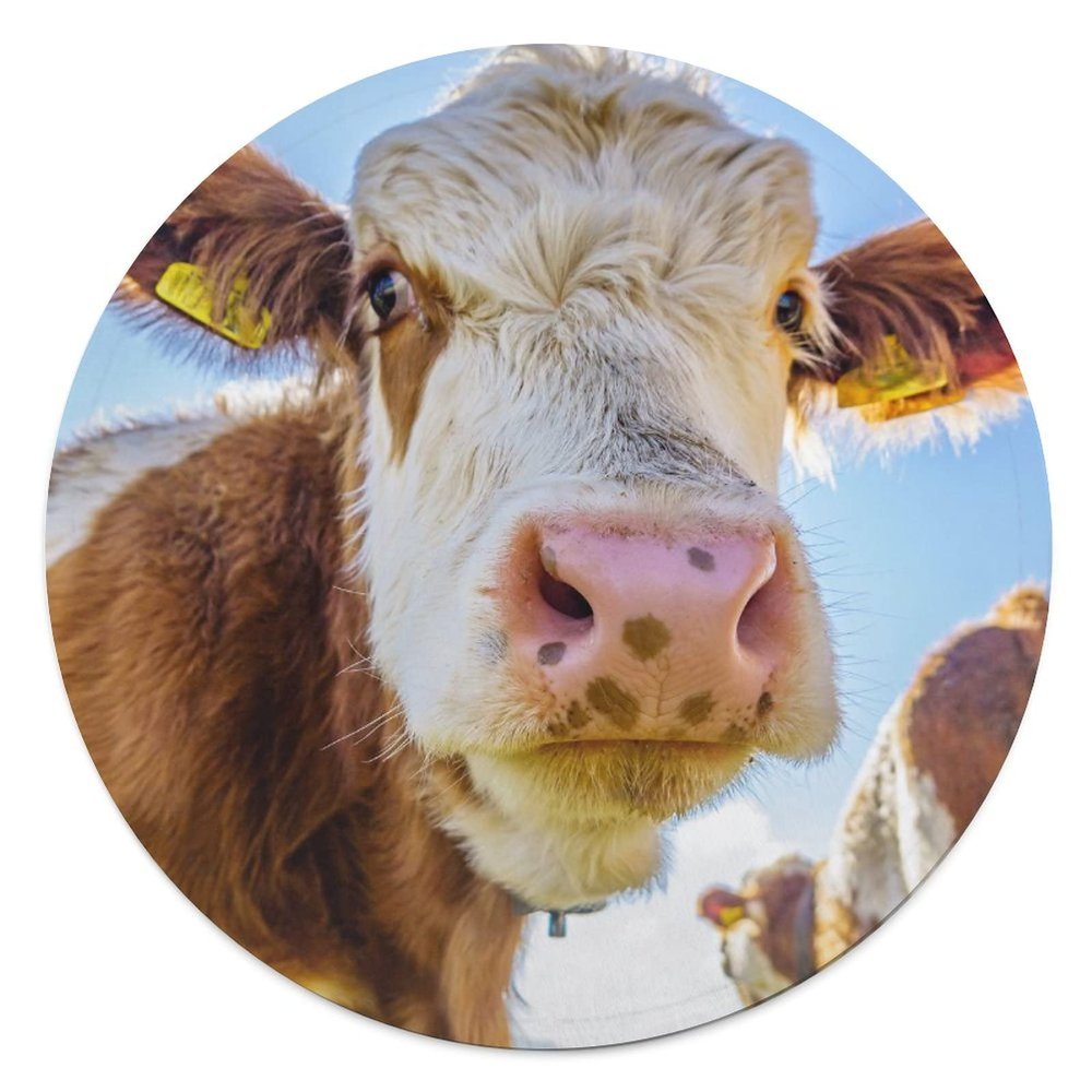 Cute European Cow Pet Blanket, 90 cm