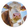 Cute European Cow Pet Blanket, 90 cm view 1