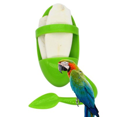 Cuttlebone Holder for Birds