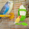 Cuttlebone Holder for Birds view 2