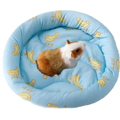 Fituenly Small Rabbit Mat