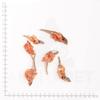 WILDES LAND Chicken Breast with Fish | Grain-Free Dog Chew with Natural Ingredients and High Meat Content | 5 x 70 g view 2