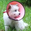 Soft Cone Collar for Dogs and Cats, Post-Surgery Recovery, Soft Orange, Size 2 (21–23 cm) view 4