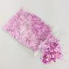 THCBD 10g AB Nail Glitter Flakes, Shell Sparkle view 1